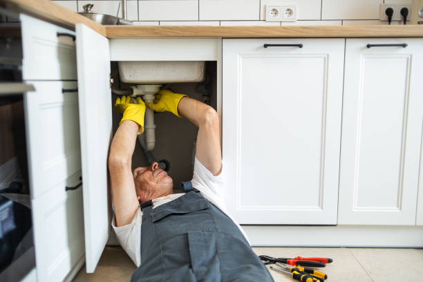 Best Garbage Disposal Repair and Installation  in Manton, MI